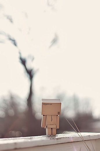 Danbo - Sehnsucht