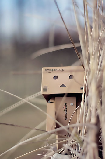 Danbo